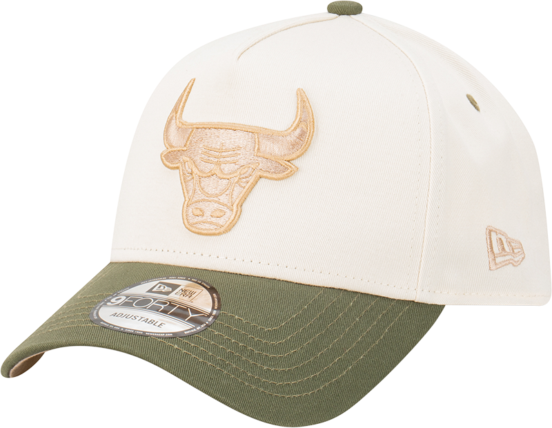 Chicago Bulls 9FORTY A-Frame Snapback - Wine Cork Olive