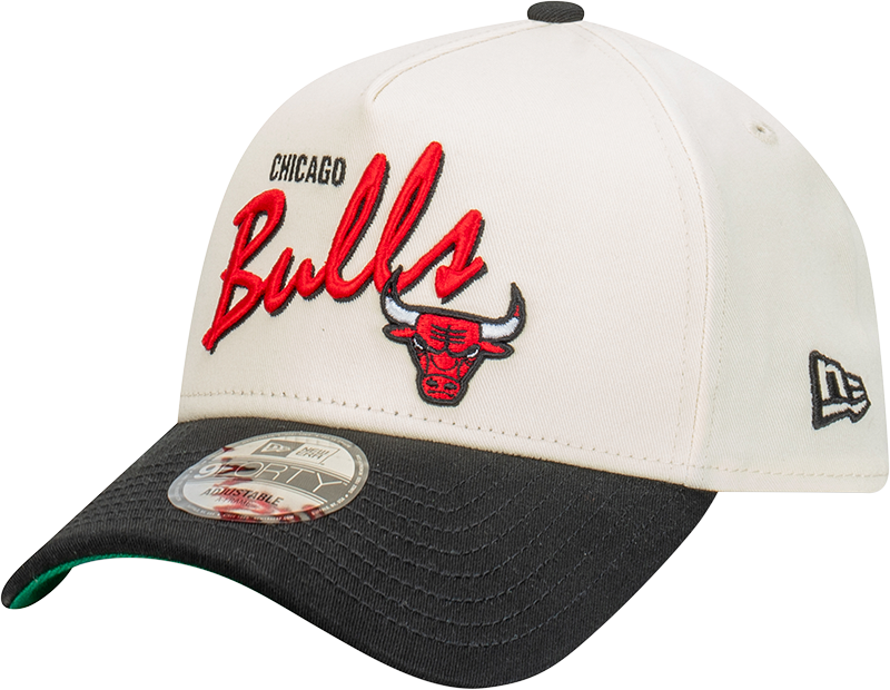 Chicago Bulls 9FORTY A-Frame Snapback - Chrome White