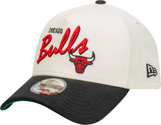 Chicago Bulls 9FORTY A-Frame Snapback - Chrome White