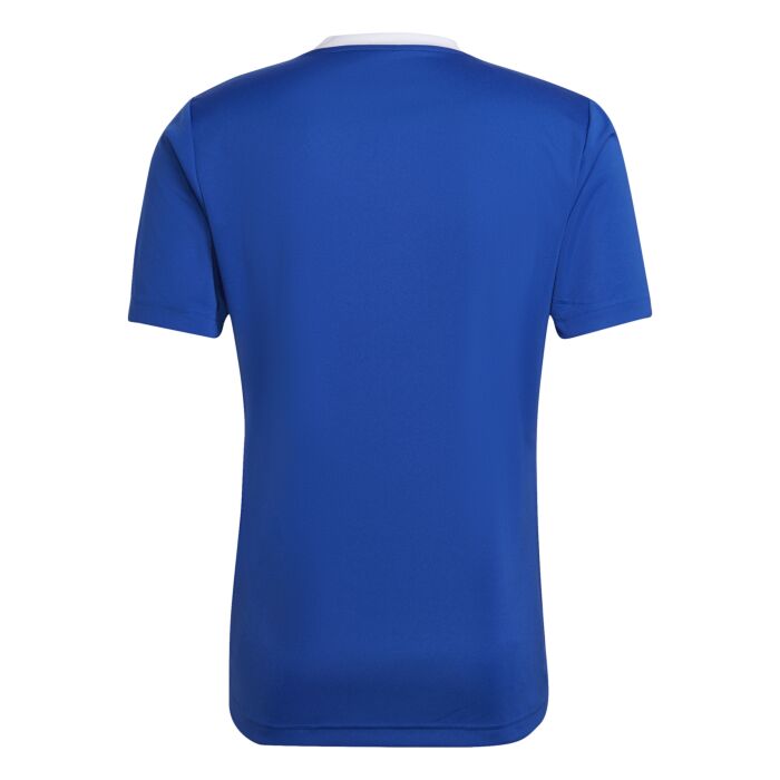 Adidas Entrada Jersey - Blue