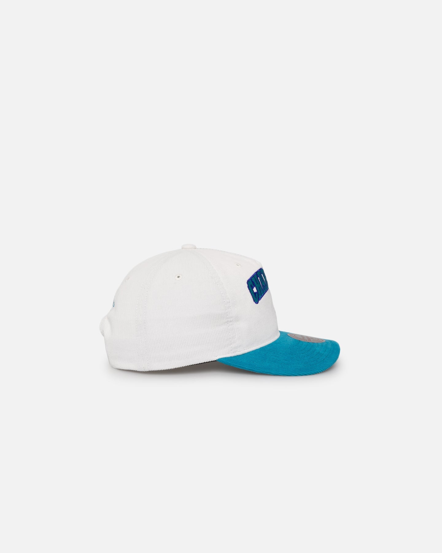 Charlotte Hornets History Origin Wordmark Snapback