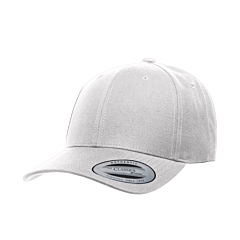Snapback - Silver